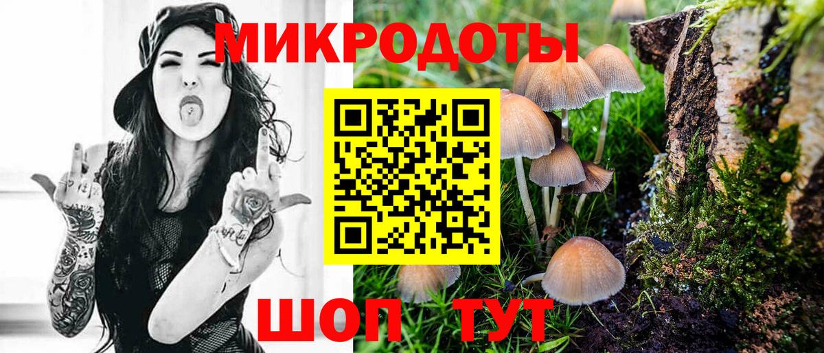 Псилоцибиновые грибы мицелий Балашиха