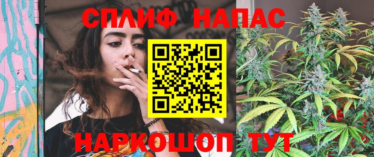 МАРИХУАНА сатива  Конопля план  Балашиха  МАРИХУАНА Bruce Banner  Вход с VPN  Каннабис Ganja 