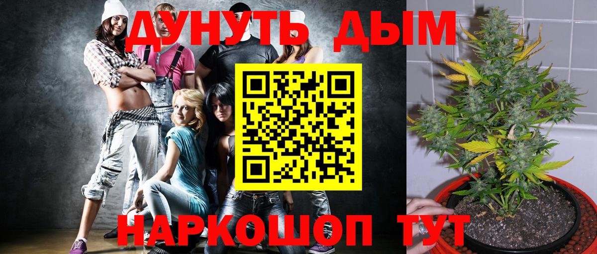 Конопля SATIVA & INDICA Балашиха